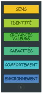 Boutique UNIC - Tapis PNL Niveaux Logiques de Dilts